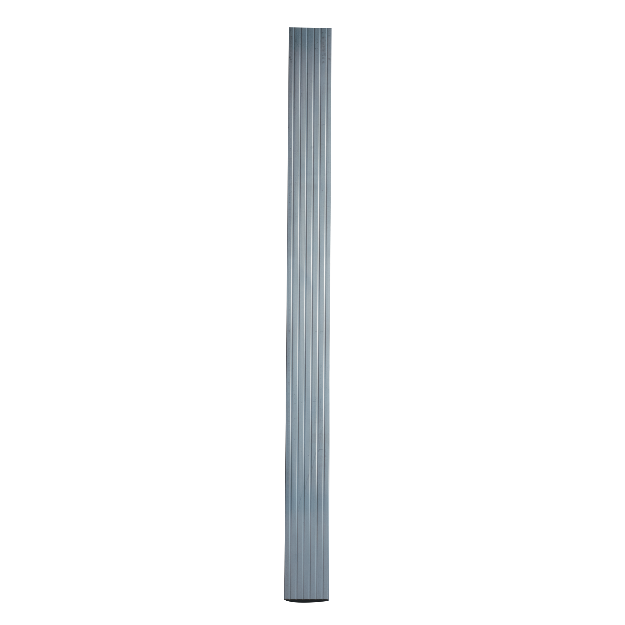 SHOWGEAR Mammoth Dex Leg 80 cm 80 cm