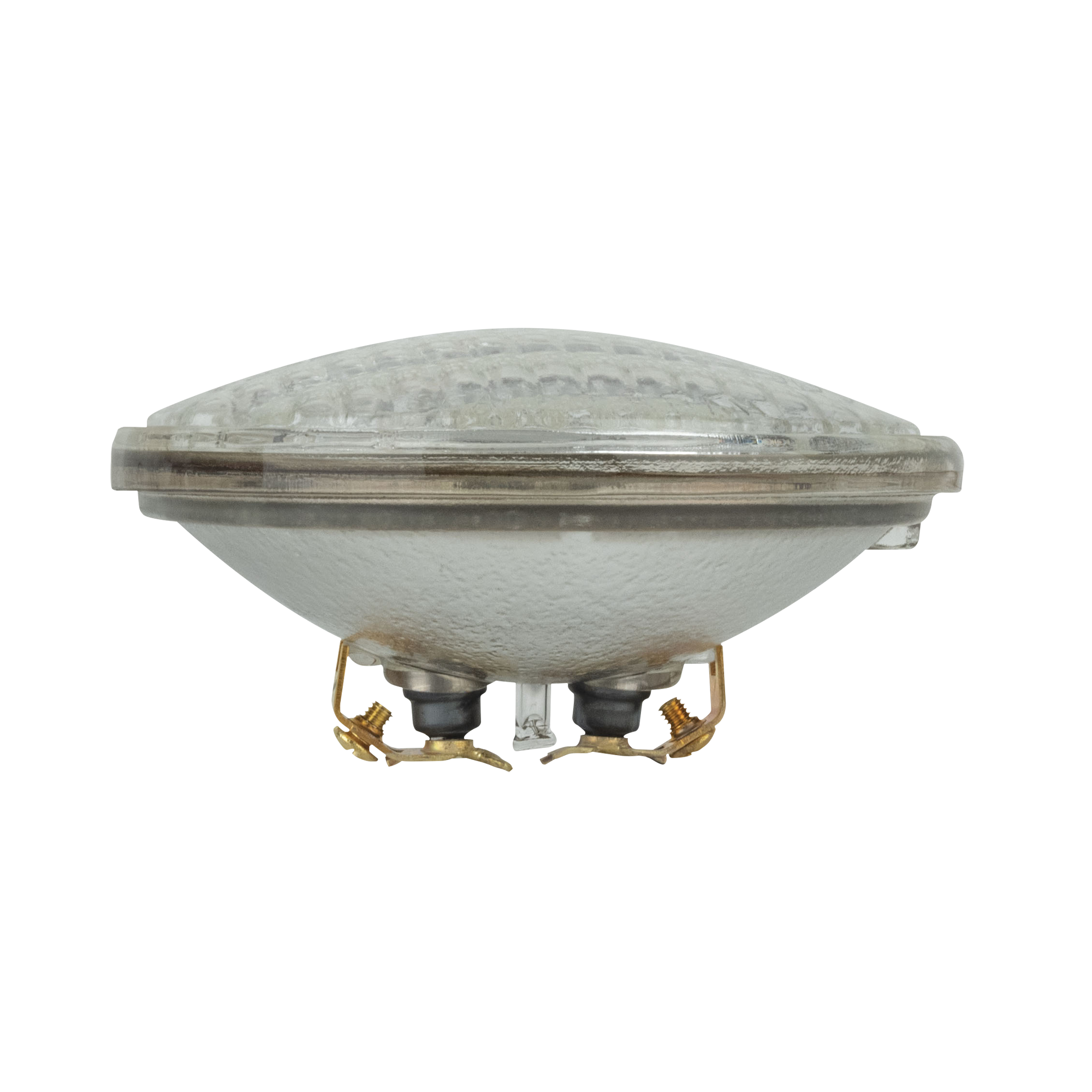 SHOWGEAR Par 36 M-P Screw Terminal DWE 120 V 650 W 120 V 650 W