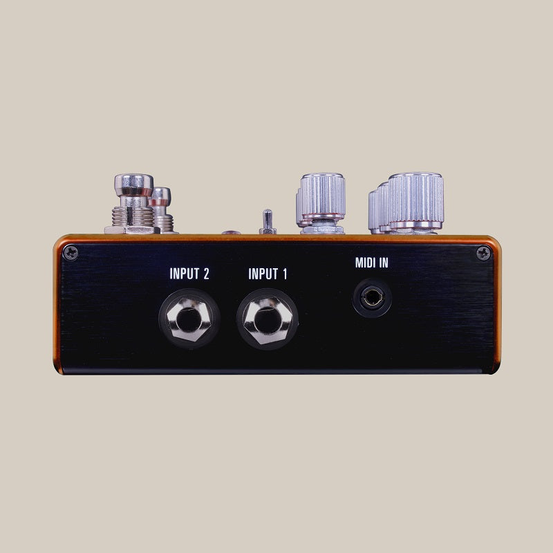 Source Audio SA281 PATHWAYS - Pedale reverb + tremolo per chitarra o basso