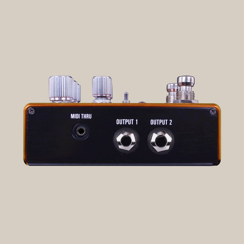 Source Audio SA281 PATHWAYS - Pedale reverb + tremolo per chitarra o basso
