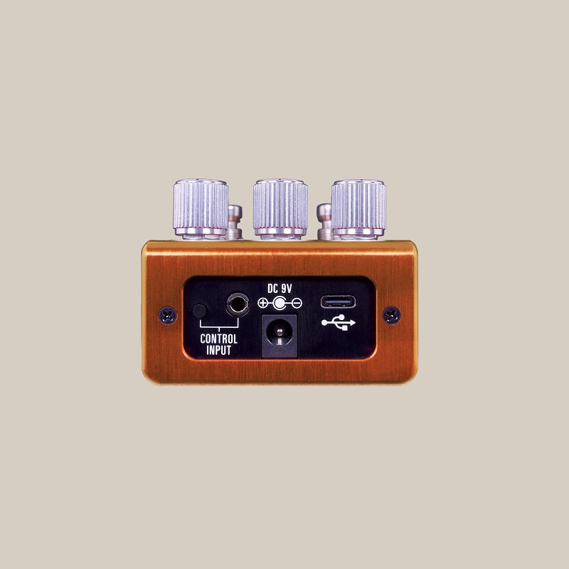 Source Audio SA281 PATHWAYS - Pedale reverb + tremolo per chitarra o basso