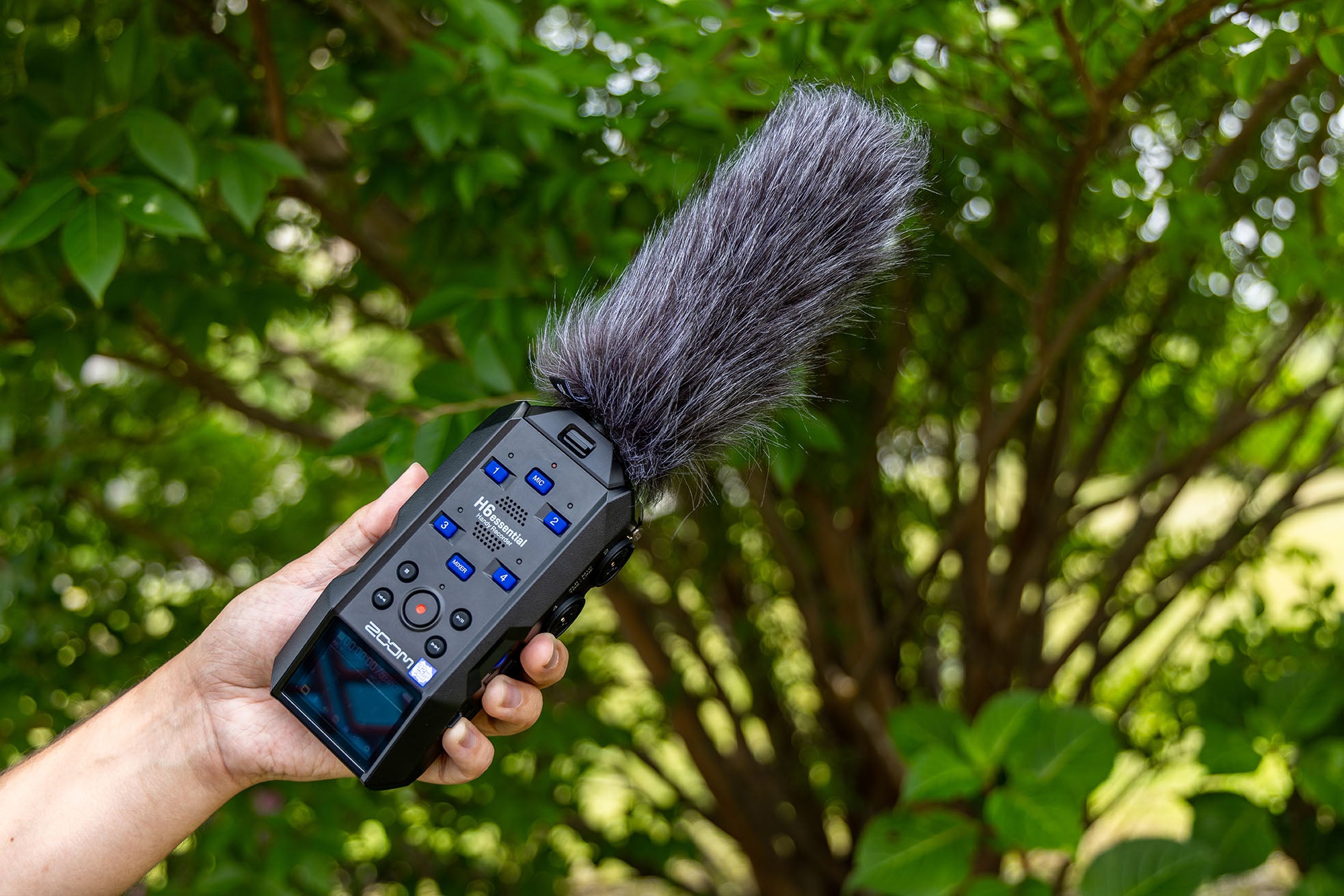Zoom SSH-6e - Capsula microfonica shotgun stereo per H6e