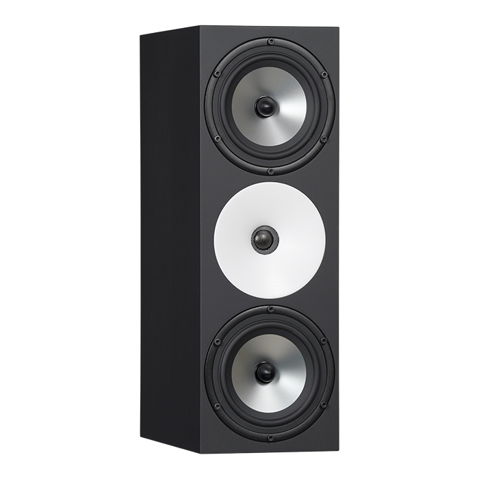 Amphion Two18X