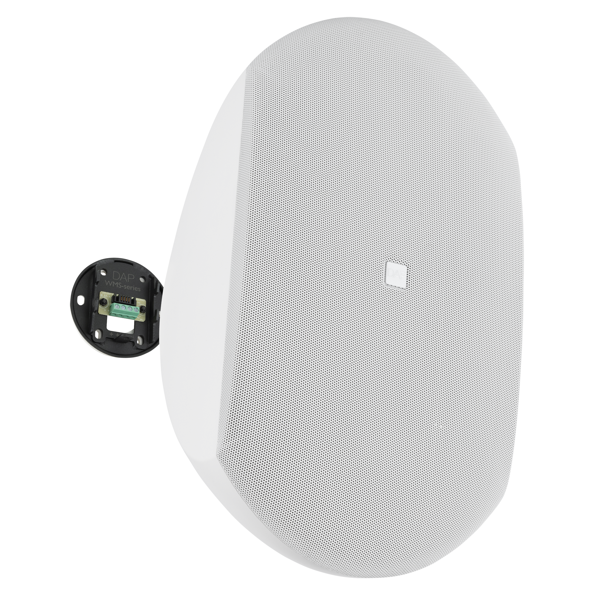 DAP WMS8-W White Altoparlante passivo a muro da 8" - 16 Ω - bianco