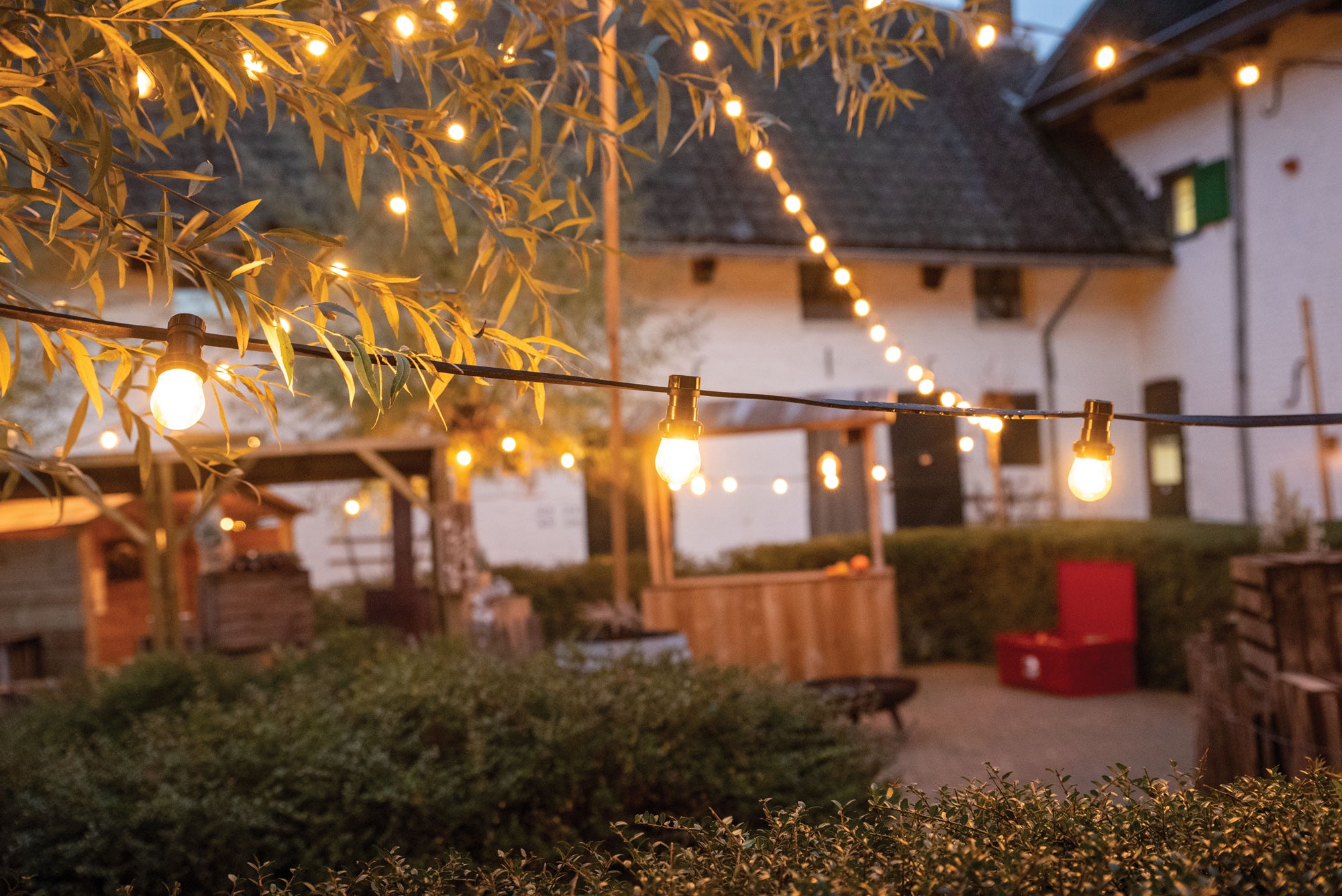 SHOWGEAR Festoon Light E27 Black, 10.000mm 50 cm di distanza - nero - 10 m