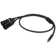 Dap FL112 - USB-C to 2 XLR/M 3P 384 kHz / 32 bit - 0.75 m 384 kHz / 32 bit - 0,75 m